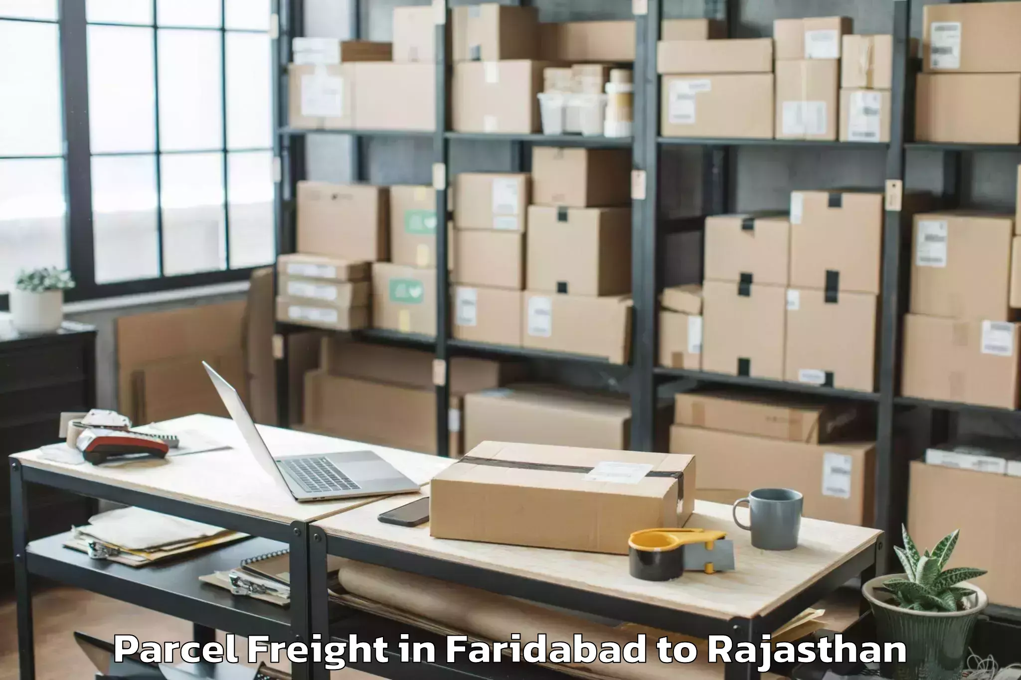 Quality Faridabad to Bagar Parcel Freight